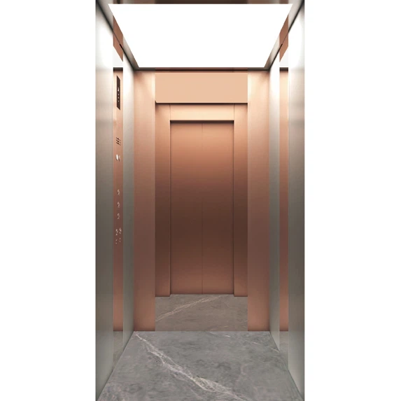 Home Elevator Systems